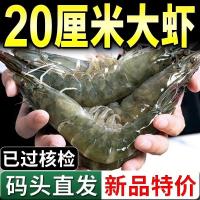 赛卡伊 青岛大虾超大海虾新鲜海捕大虾海鲜非基围虾鲜活冷冻白虾对虾大虾 12厘米 整箱4斤