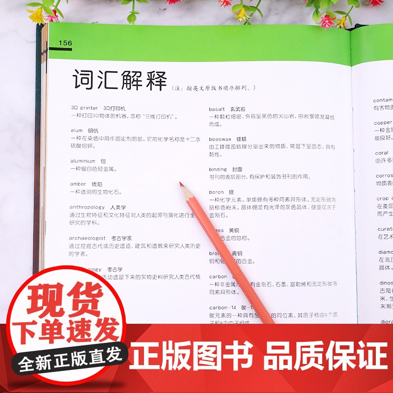 正版DK博物馆背后的故事6-7-8-9-12岁小学生课外阅读书籍科普百科少儿科普课外书历史探秘儿童百科全书考古挖掘玩具书高清大图
