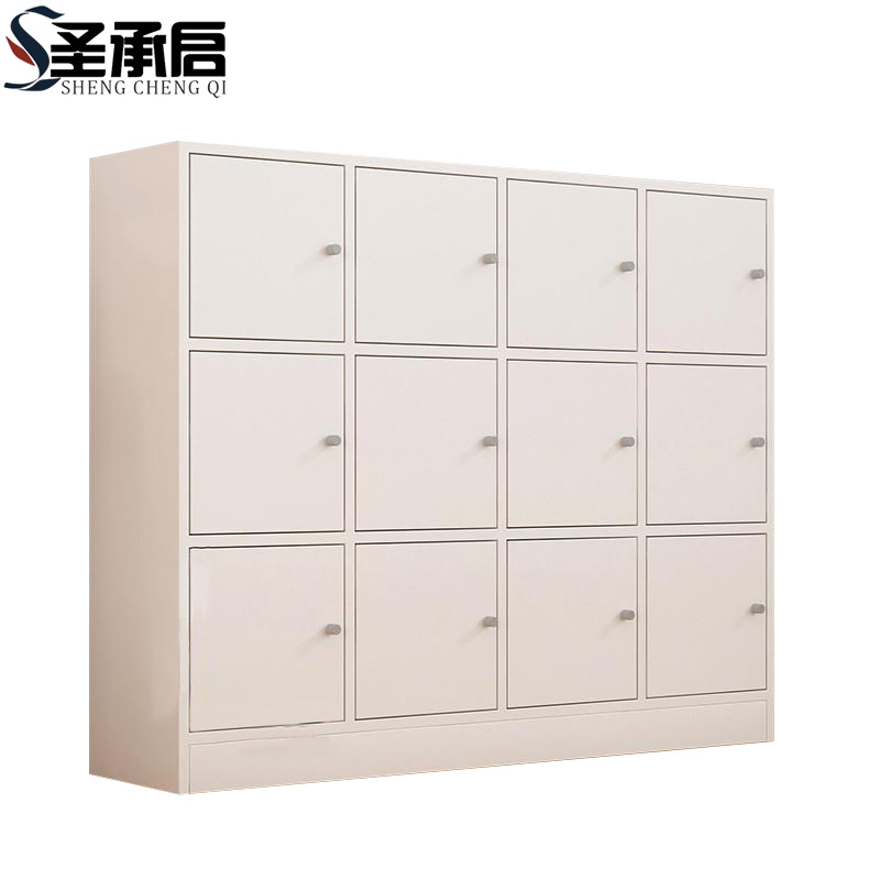 圣承启 储物柜 12门 台