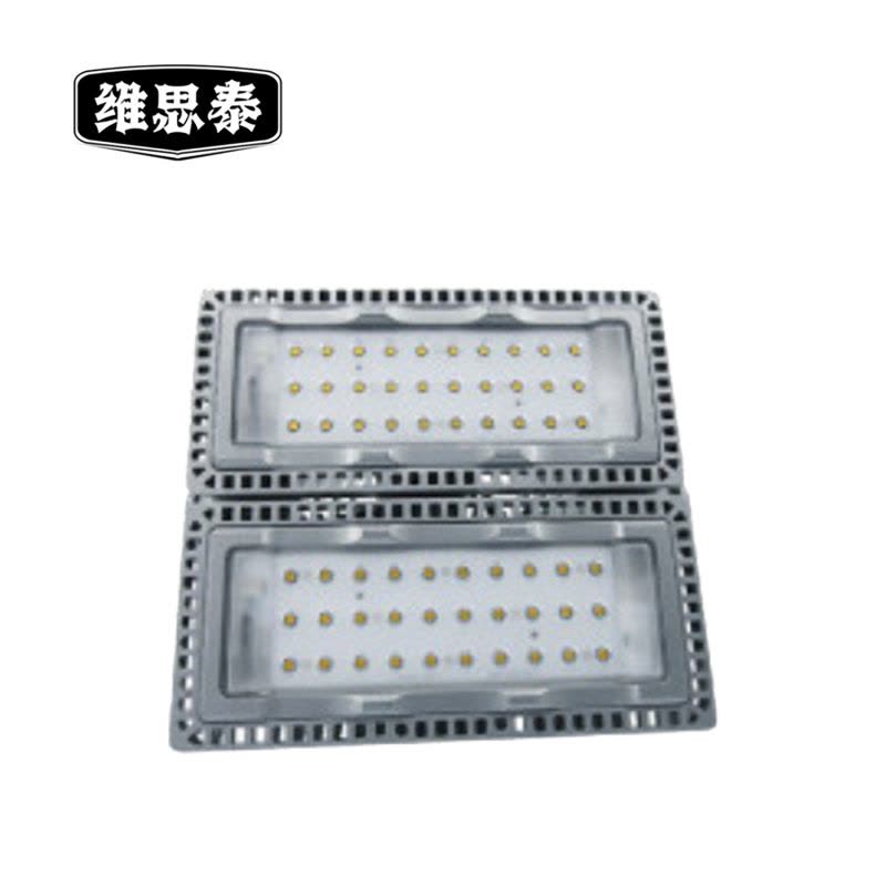维思泰 投光灯 WST9280 套图片