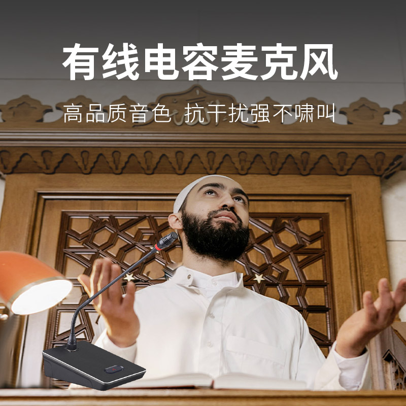 润普Runpu 会议音频扩声系统 专业有线电容麦克风会议话筒 会议演讲主持鹅颈麦RP-S-DYX503高清大图