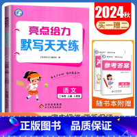 [正版]2024秋 亮点给力小学语文默写天天练 二年级上册 人教版 2年级上 字音词语句段 小学生默写天天练教辅练习书