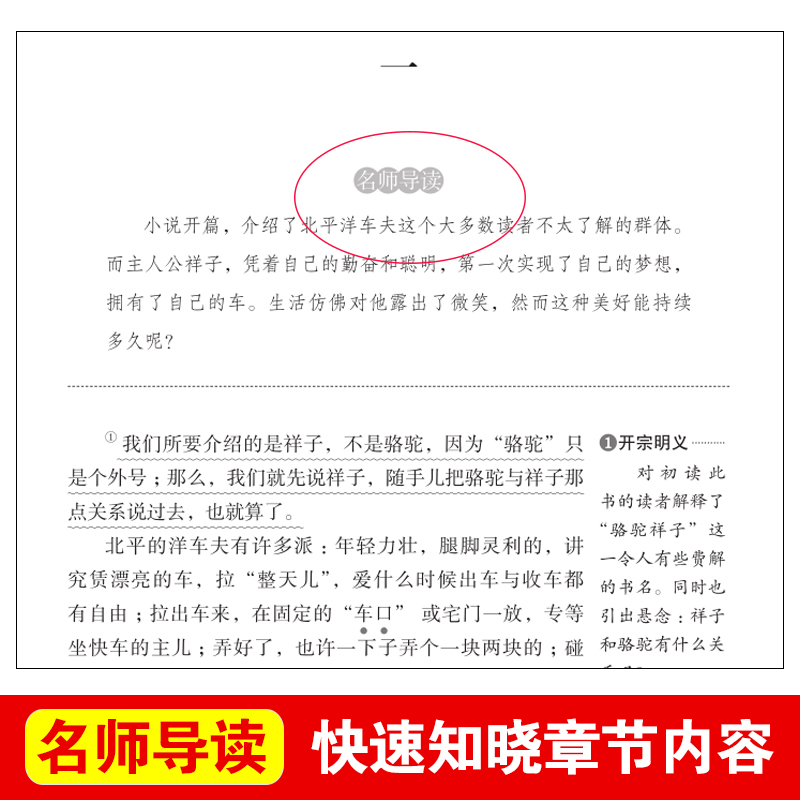 骆驼祥子原著正版老舍的书和海底两万里小学初中六七年级课外书籍下册 无障碍阅读 导读版青少年版天地出版俗世奇人冯骥才儒林外高清大图