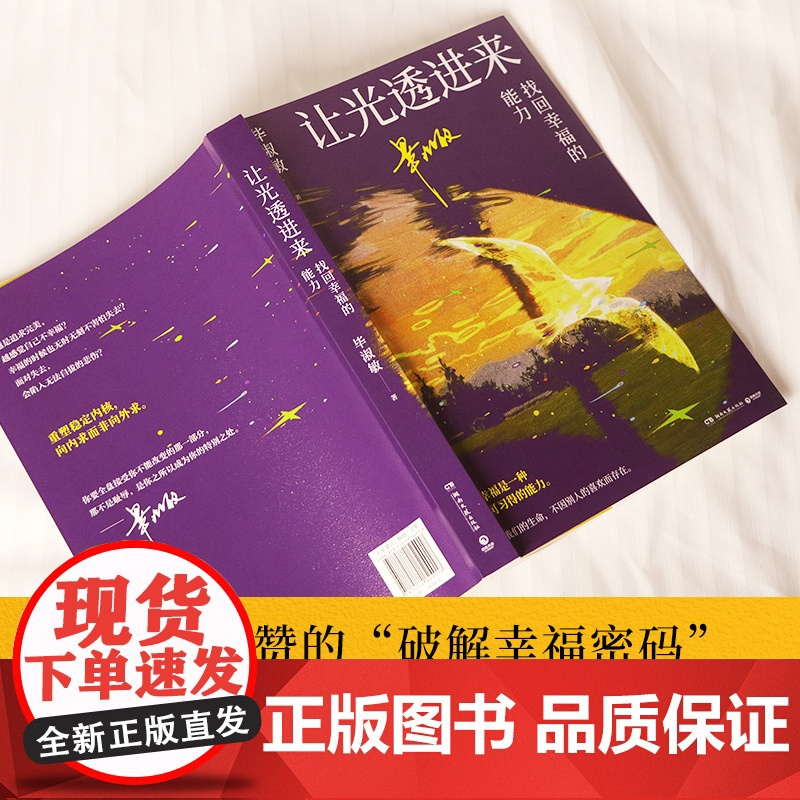 让光透进来:找回幸福的能力 毕淑敏 百万网友盛赞的“破解幸福密码”讲座精华;知名心理咨询师毕淑敏经典治愈之作高清大图