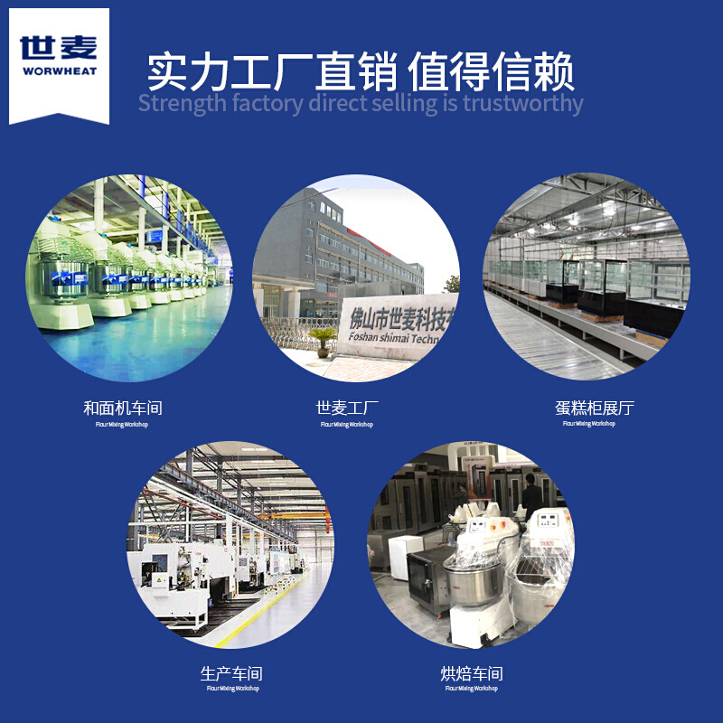 世麦(WORWHEAT)和面机商用大型包子馒头揉面机双速双动打面机