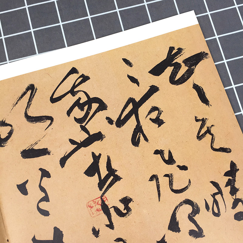 [正版]祝允明书前后赤壁赋 彩色放大本中国著名碑帖 孙宝文编 书法篆刻 书法碑帖 书法爱好者字帖 鉴赏收藏 上海辞书高清大图