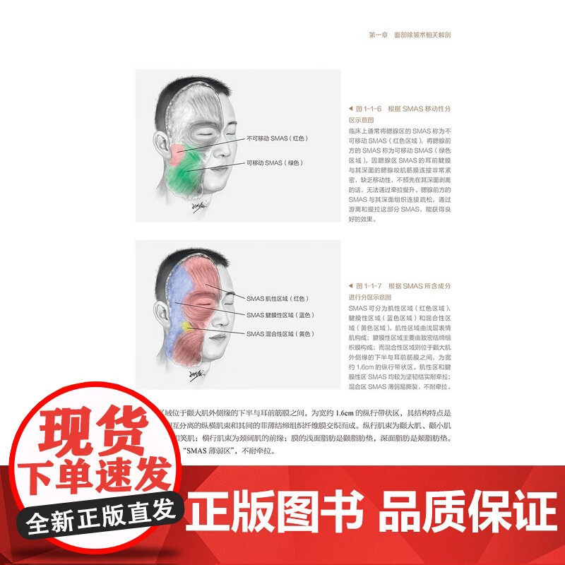 面部除皱术实战图解 张陈威 王志军主编 内容以面部除皱术手术为核心 紧密围绕面部除皱术手术阐述相关知识 另附样稿电子文档高清大图