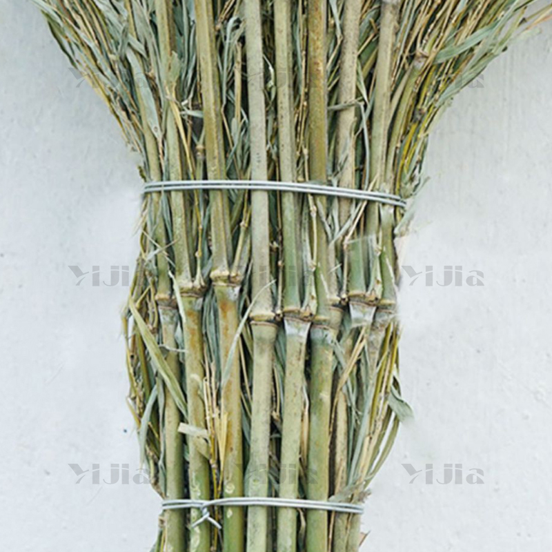翌嘉 YJ40624024竹扫把大扫把竹扫帚 一体式脱叶大扫把5斤高清大图