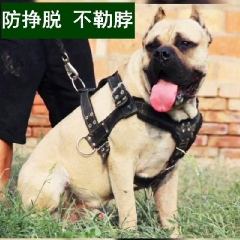 黑色双排扣背带 M-中型适合30-60斤狗用 比特斗狗杜高狗用拖重训练背带猛犬通用拖重栓狗遛狗训练装备胸带
