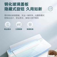 小天鹅 TP100-S999 10公斤KG大型双缸洗衣机双桶半自动洗衣机 大容量洗衣机 TP100-S988 升级版
