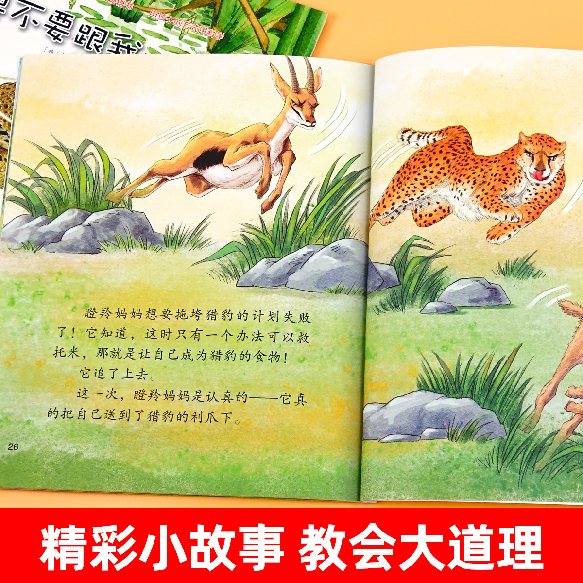 我的影子跟屁虫 [正版]我的影子跟屁虫 幼儿园绘本书阅读3-4-6岁 儿童科普读物科学启蒙睡前故事书 老师三到四五岁宝宝高清大图