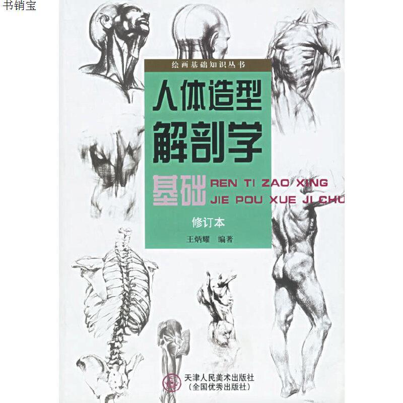 人体造型解剖学基础绘画基础知识丛书9787530516683王炳耀视频