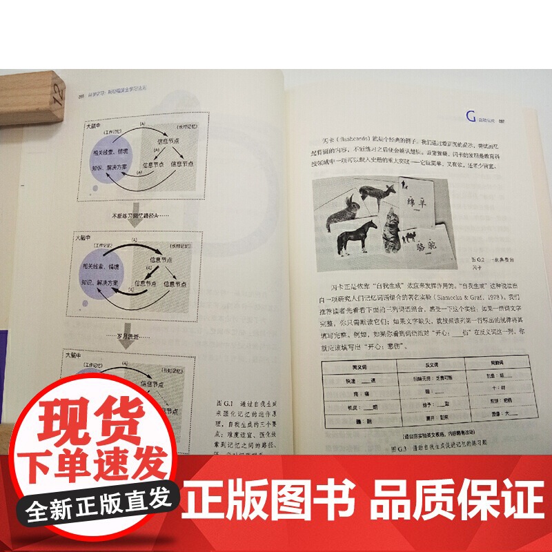 科学学习斯坦福黄金学习法则丹尼尔施瓦茨的黄金学习法则高效学习方法指南技巧书籍自我提升指南机械工业出版社图书高清大图
