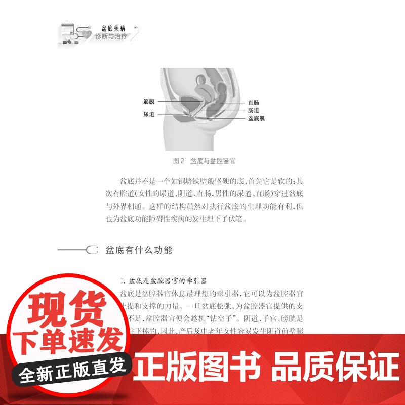 健康中国家有名医丛书盆底疾病诊断与治疗 上海科学技术文献出版社盆底功能疾病科普专业读物高清大图