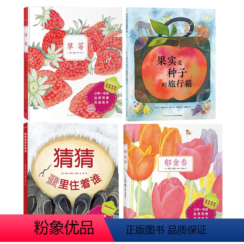 [4册精装]草莓+猜猜+郁金香+果实 [正版]心喜阅科普馆:果实是种子的旅行箱精装草莓郁金香种子和果实的奇妙旅程儿童图画