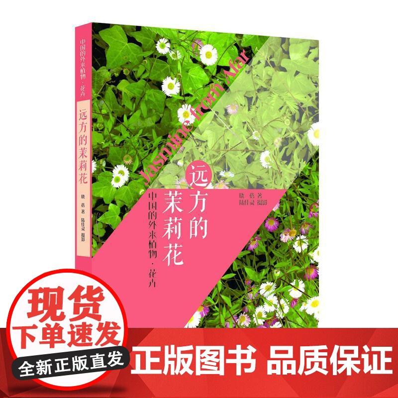 远方的茉莉花——中国的外来植物·花卉高清大图