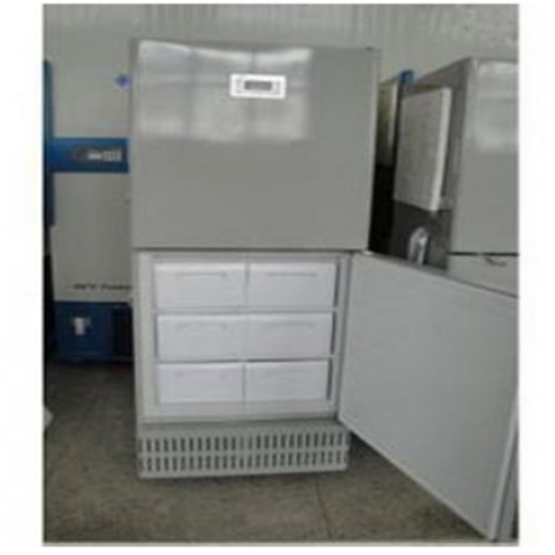 低温保存箱 DW-YL90 货期20天
