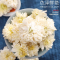 [洗象堂]黄山贡菊正宗菊花贡菊特级新货菊花茶