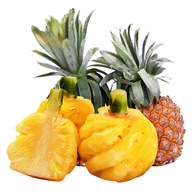 日前发货徐闻香水小菠萝带箱10斤新鲜当季水果凤梨手撕小波萝现摘应整