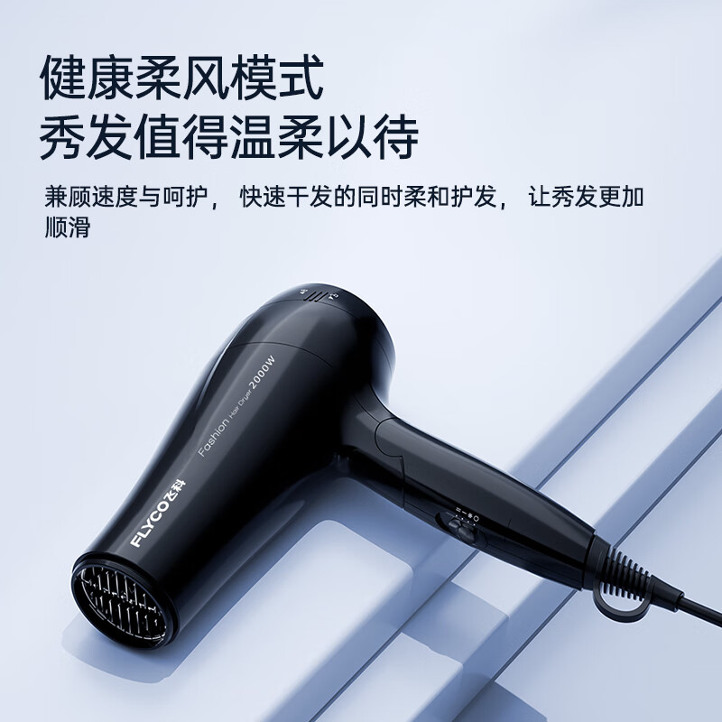 飞科FLYCO个性旋风干发器FH6231 负离子静音双速设计时尚便携电吹风