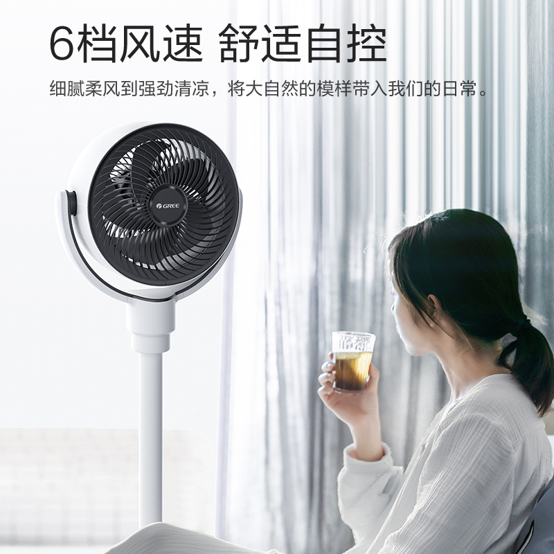格力(GREE)循环扇FXDZ-20X61Bg5空气循环扇家用静音落地遥控台地立式摇头定时台式桌面电风扇