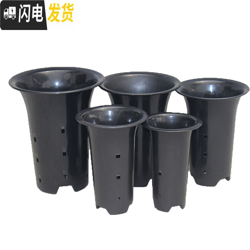 三维工匠园艺兰花盆种植盆栽盆塑料透气加厚黑色带孔四季兰君子兰花专用盘 绿兰6.5寸无壁孔兰花盆 10个装(送2米花盆容器