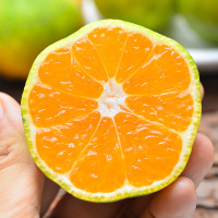 当季新鲜蜜桔 5斤装 橘子 新鲜水果 蜜橘