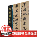 楹联名品-郑板桥楹联 孙宝文 编 艺术 美术作品 绘画
