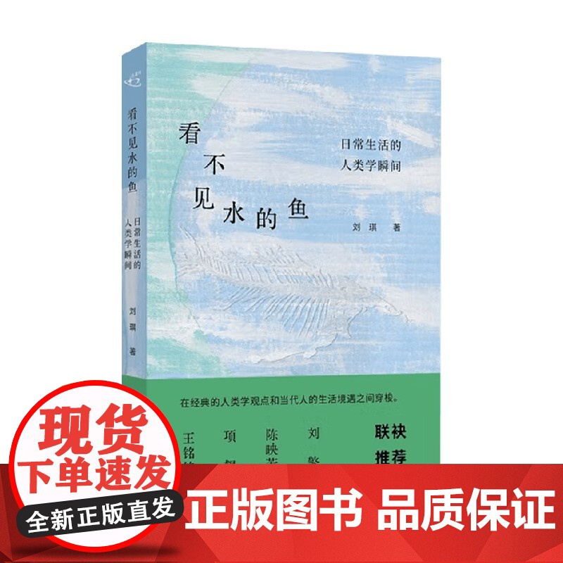 看不见水的鱼 日常生活的人类学瞬间 刘琪 著 社会科学高清大图