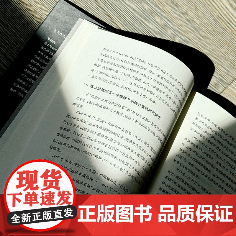 文化价值观 精装 朱鸿召 文化认同 价值理念 华东师范大学出版社高清大图