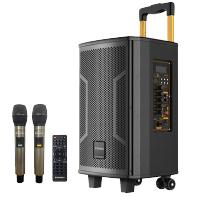 山水(SANSUI) SA5-08跳广场舞音响户外K歌手提拉杆便携式大功率低音炮蓝牙音箱带无线麦克风双话筒套装