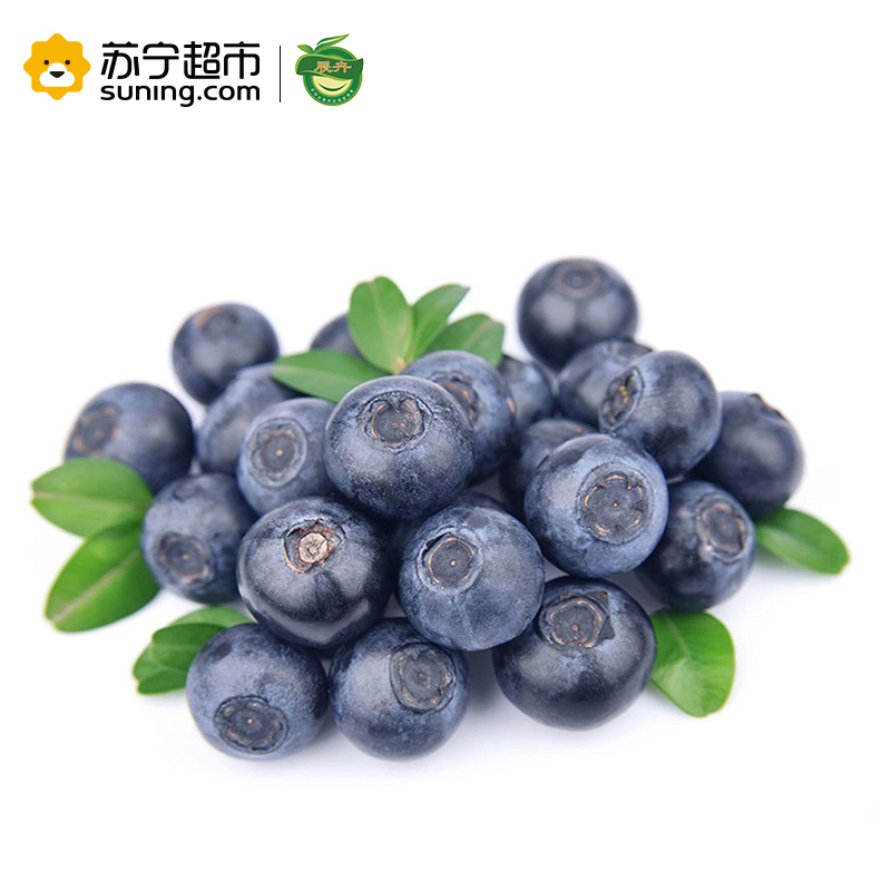 展卉 国产蓝莓4盒装 约125g/盒 新鲜水果