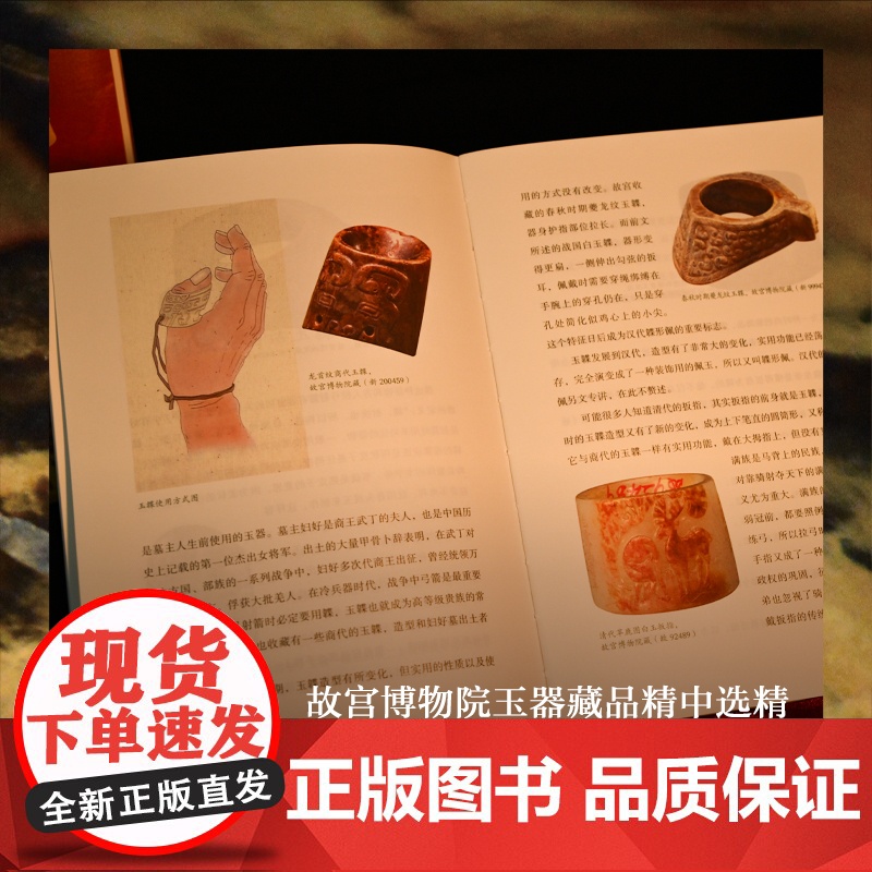 [在故宫]玉见故宫:国宝玉器里的中华 故宫博物院玉文化研究所所长徐琳撰写 探寻中华文明文物玉器百张精美图片 译林出版社正高清大图
