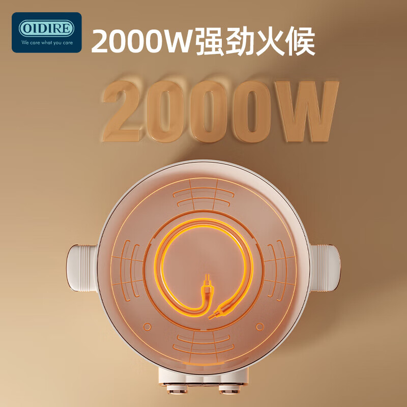 OIDIRE电煮锅 电炖锅电火锅多功能锅 ODI-DHG19 6L高清大图