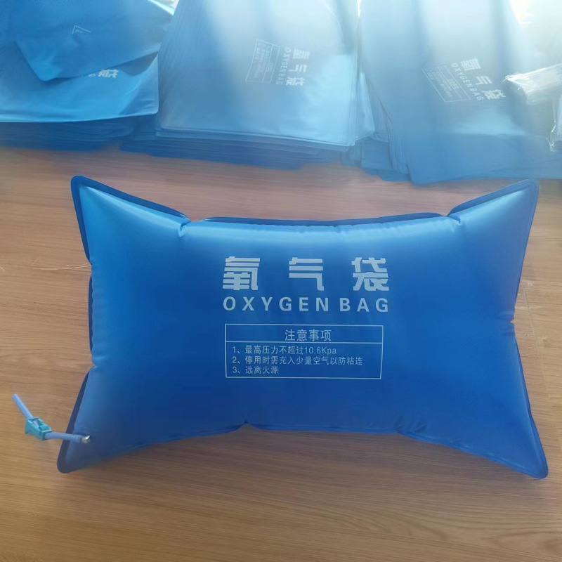 WAHL 氧气袋家用便携式氧气袋42L 单位:个