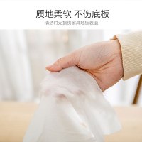 日本爱丽思平板拖把木地板家用懒人干湿拖地神器一拖两用地拖布净