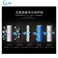 威世顿（viston）厨下式家用净水器超滤直饮水机VST-C600N508B