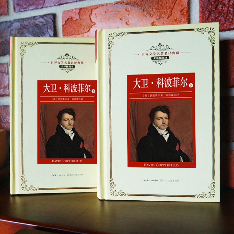 鲁宾逊漂流记 [正版]世界文学名著名译典藏 全译插图本 大卫科波菲尔飘猎人笔记基督山伯爵现当代文学名著书籍排行榜高初中生