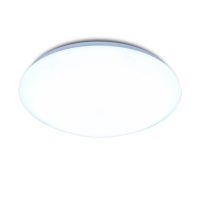 百士安 感应吸顶灯LED声光控走廊过道楼梯灯 入户玄关灯具 12W-白光-直径26cm
