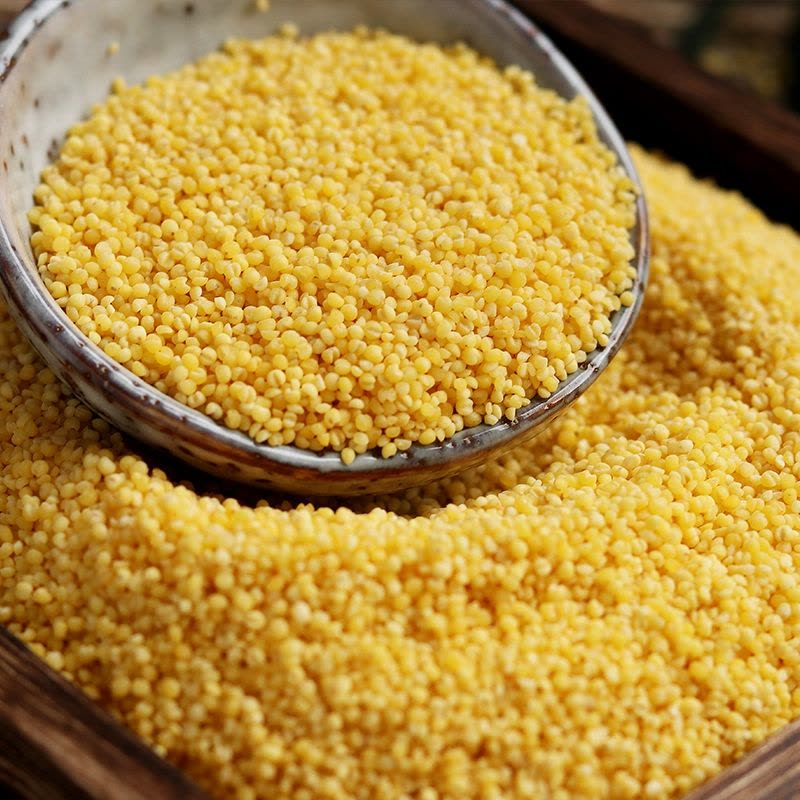 汾都香1000克山西小米黄小米真空装石磨月子米五谷杂粮小米饭养胃米1kg优质袋装图片