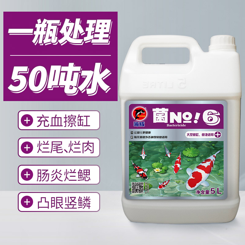 锦鲤硝化细菌鱼缸虫菌净水剂除氯绿水浑水净化观赏鱼高清大图