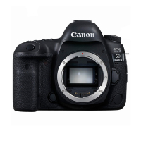 佳能(Canon) EOS 5D4(100F2.8微距+600EX闪光灯) 数码单反相机 单镜头套装 约3040万像素