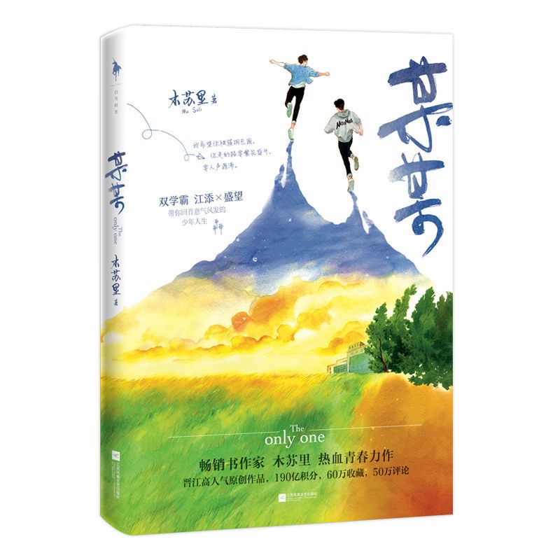 某某小说 木苏里江添vs盛望双男主青春文学校园甜宠小说一级律师 某某