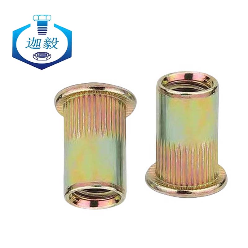 迦毅平头拉铆螺母M10个