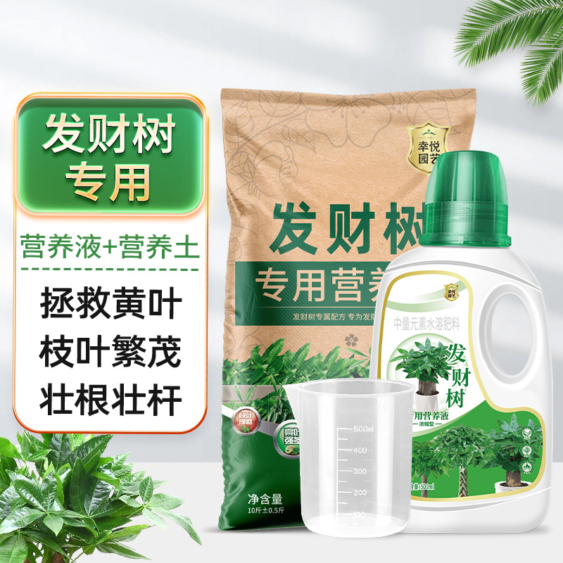 【补贴10%】发财树营养液肥料专用肥治叶子发黄掉叶烂根室内盆栽植物花肥通用 发财树营养液+发财树专用土10斤(送量杯)
