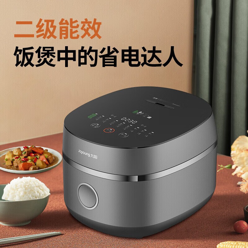 九阳(Joyoung) 家用多功能IH 电饭煲4L F-40TD01高清大图