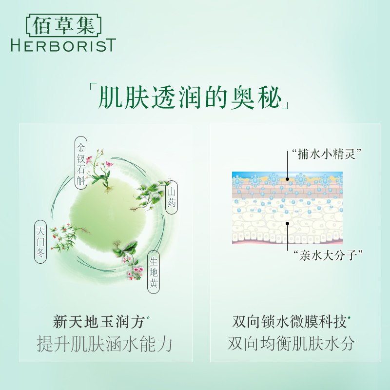 ZHSN佰草集新玉润保湿洁面泡150ml