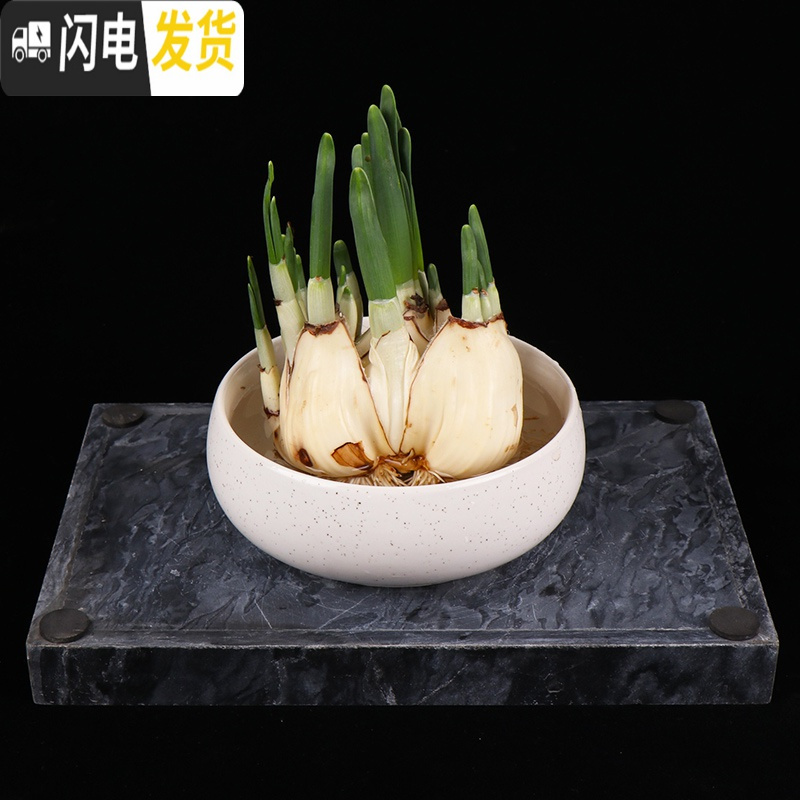 三维工匠花盆水仙花睡莲碗莲无孔金钱陶瓷水养水培多肉陶瓷塑料植物 经典款(塑料):大号8寸白色 中等花盆容器