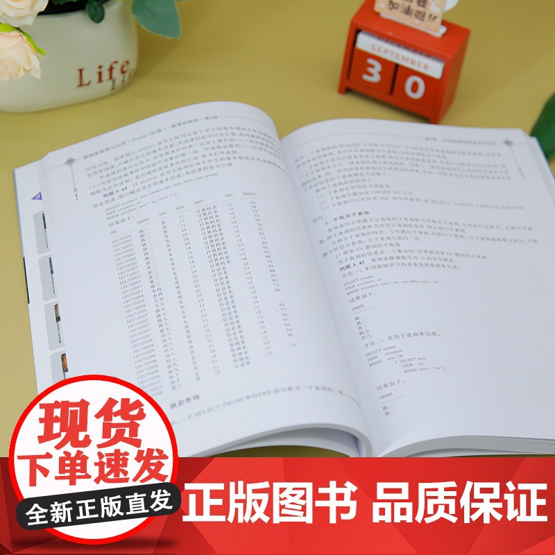 [正版新书]数据库原理与应用(Oracle 19c版)-微课视频版(第2版) 杨晨 主编 清华大学出版社 数据库原理,高清大图