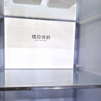 澳柯玛中式对开冰箱 BCD-571WPGXI 晶钻银